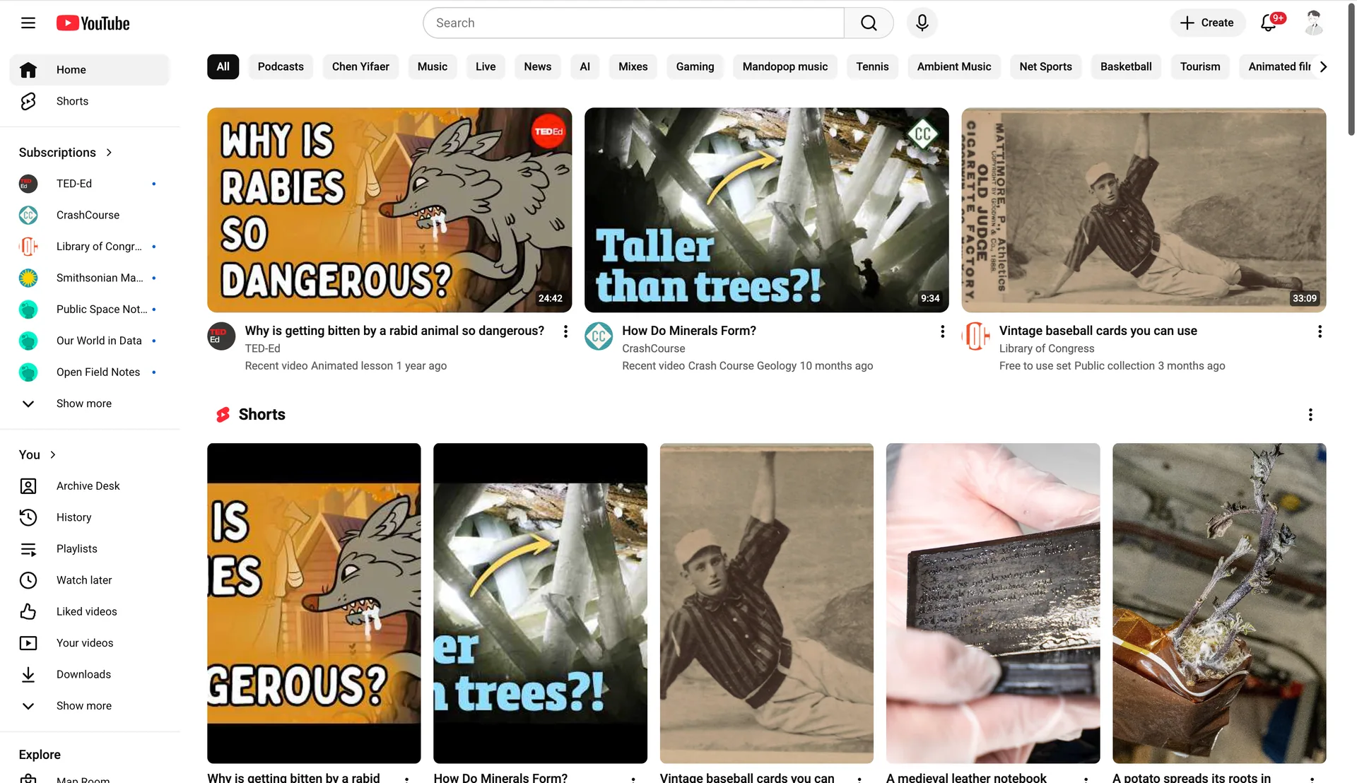 YouTube homepage before ShareVeil showing original recommendation thumbnails and video titles.